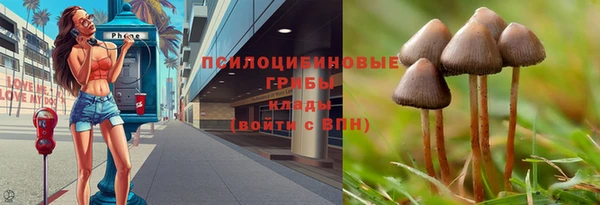дурь Абаза