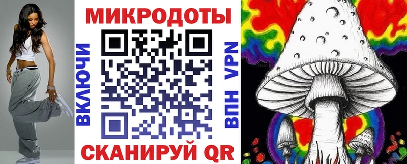 как найти наркотики Касли Псилоцибиновые грибы Psilocybe