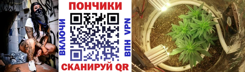Конопля сатива  Касли 